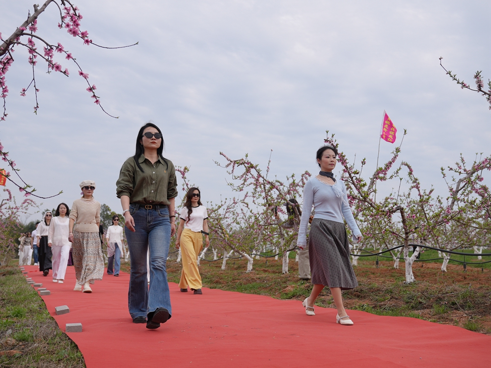 桃園花海走秀